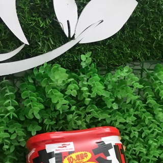 Ruốc cá hồi hokkaido