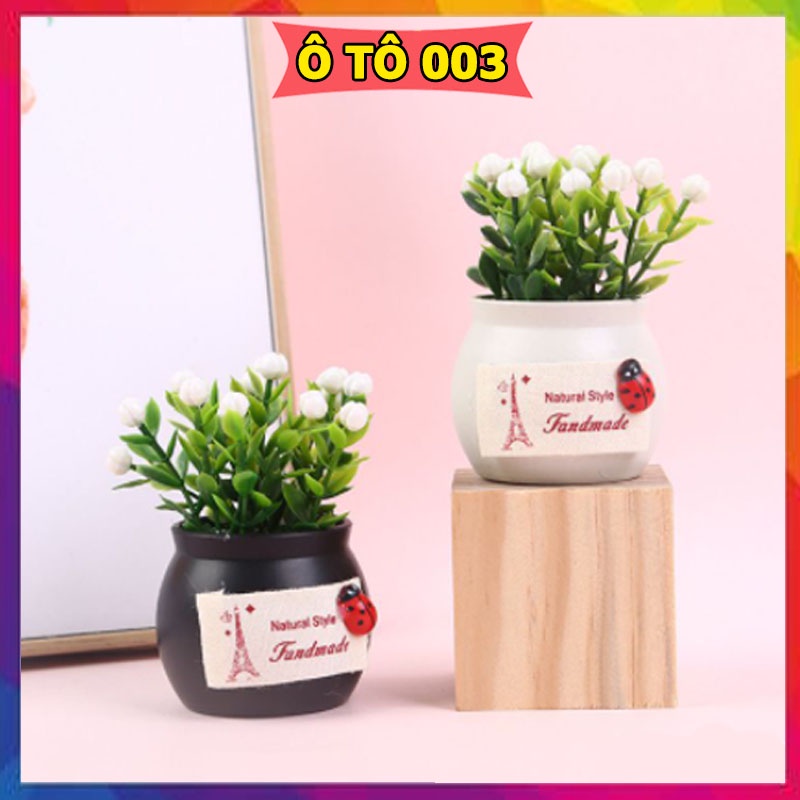 Chậu cây mini trang trí taplo ô tô, xe hơi, bàn làm việc