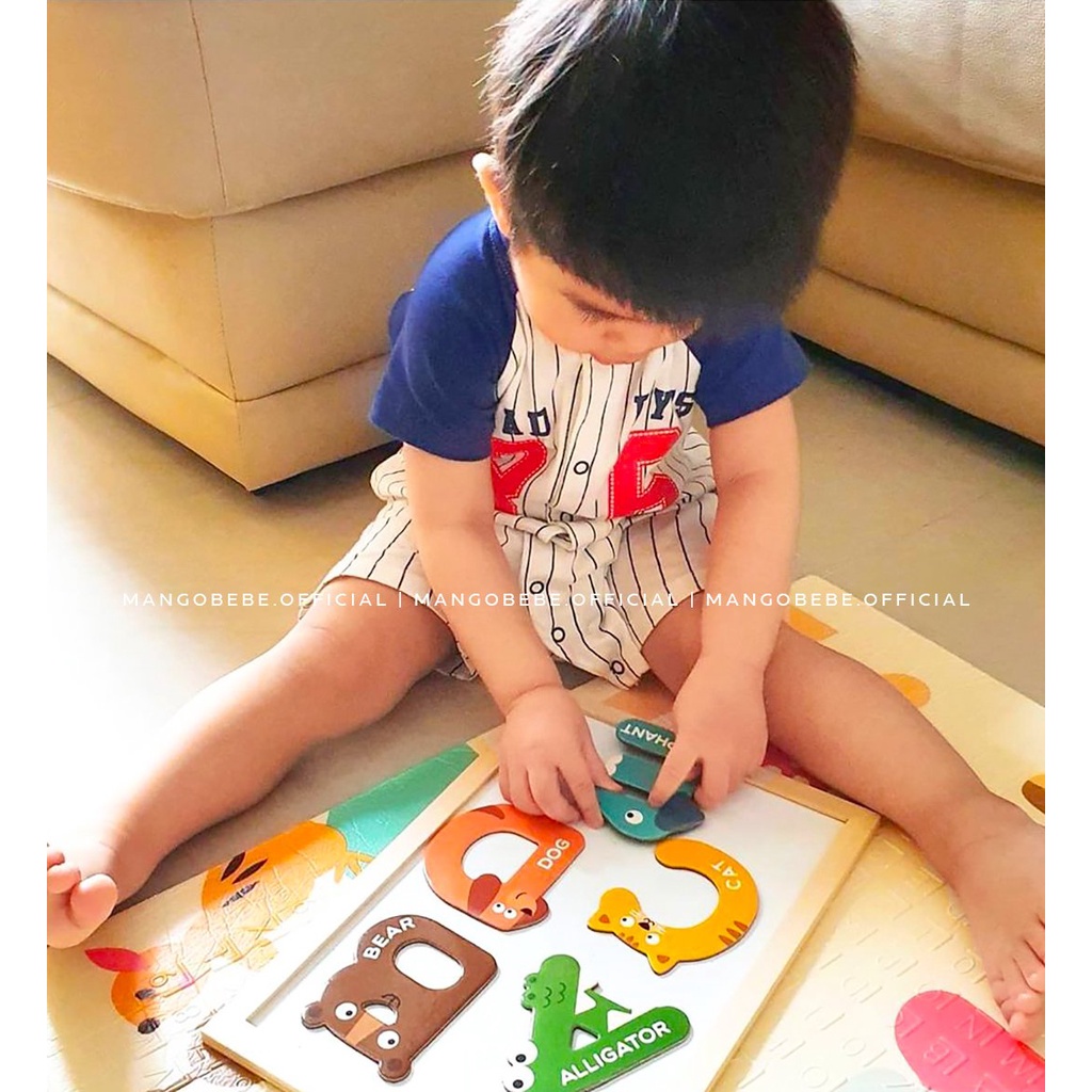 Bộ nam châm chữ cái và số Mideer