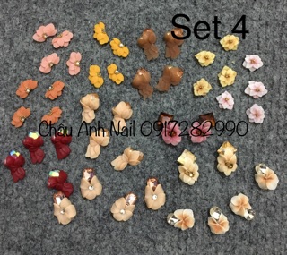 Set hoa bột nail