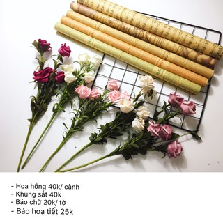 Báo chụp sản phẩm giá rẻ