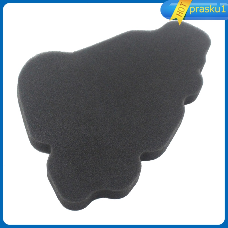 Bộ Lọc Khí Thay Thế Cho Xe Scooter 125 2000-2003 Prasku1 | BigBuy360 - bigbuy360.vn