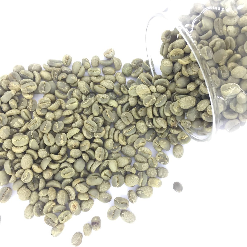 ☕ Cà Phê Nhân Sống ARABICA - Chưa Rang - Nguyên Liệu Sạch ( 1KG )