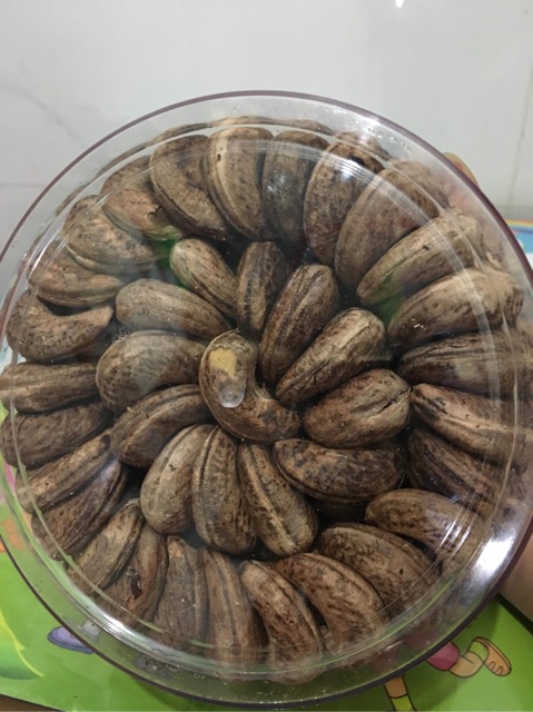 HẠT ĐIỀU RANG MUỐI BÌNH PHƯỚC | BigBuy360 - bigbuy360.vn