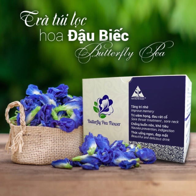 Trà túi lọc hoa đậu biếc