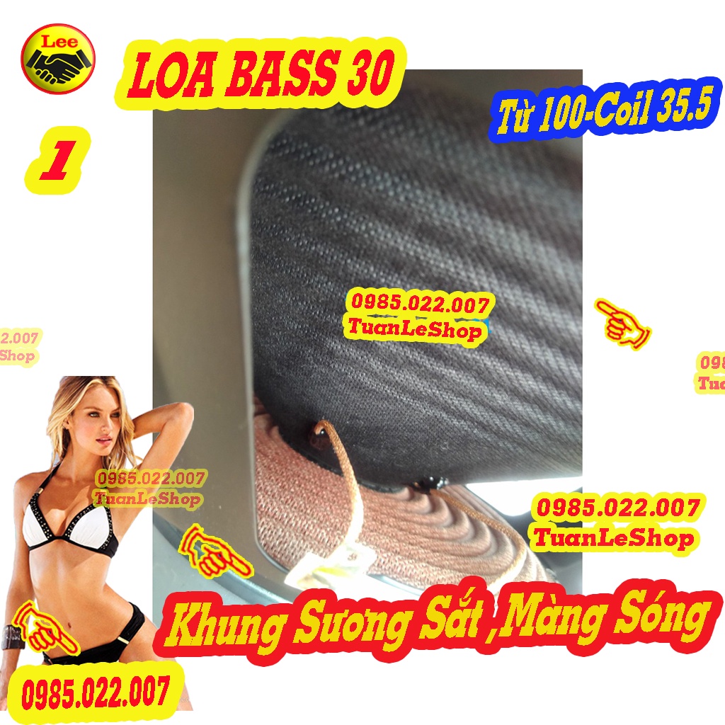 1 CỦ LOA BASS 30 TƯ 100MM CHO LOA KÉO HOẶC AMPLI NHỎ - GIÁ 1 CỦ LOA 3 TẤC - 1205