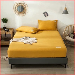 Ga giường cotton Tici - chăn ga_gối giá rẻ