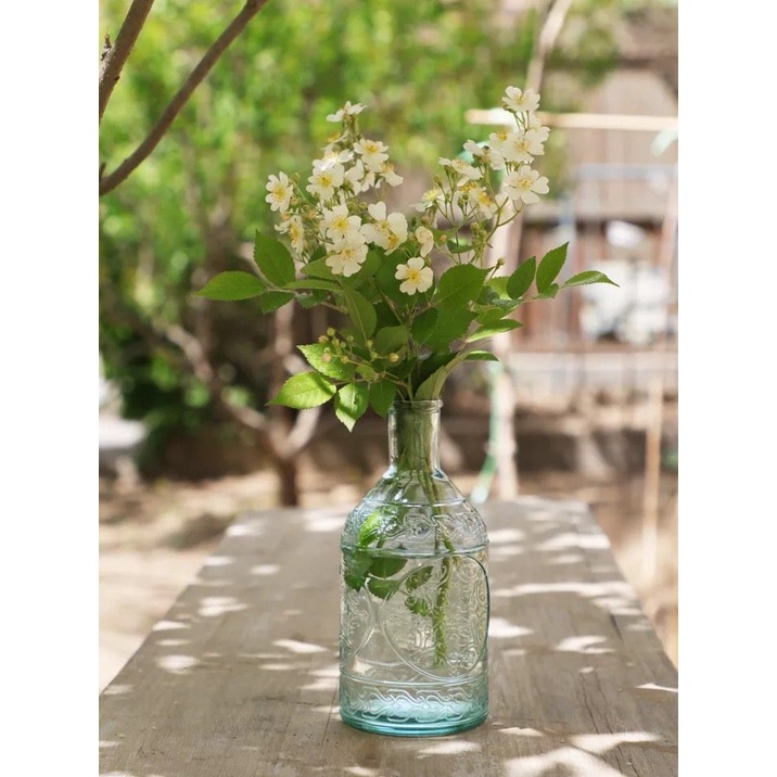 Chai thuỷ tinh tái chế nắp gỗ VSM Bottela  500~1000ml – V5032 - V5041 - V5049 - V5924 [Made in Spain]