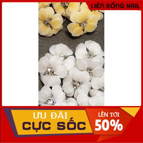 Hoa bột nail chân mẫu mới