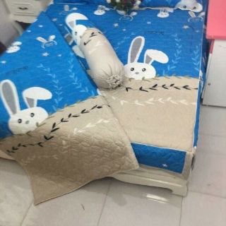 Set vỏ ga gối chăn hè poly cotton