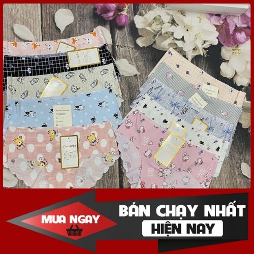 Quần lót nữ đúc su điều hòa không đường may dễ thương siêu mát lạnh QL 04 | BigBuy360 - bigbuy360.vn