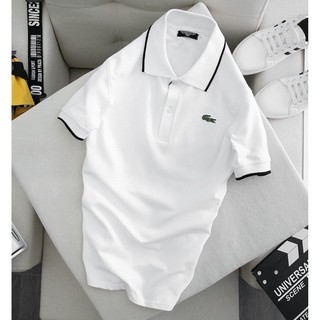 Áo thun nam polo cá sấu có cổ cộc tay cao cấp Hamino vải thun cotton co giãn màu trắng đen thời trang Hàn Quốc E1