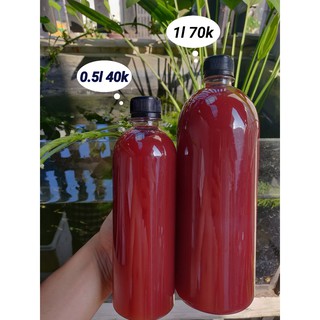 Vi khuẩn quang hợp psb ( chai 5l)