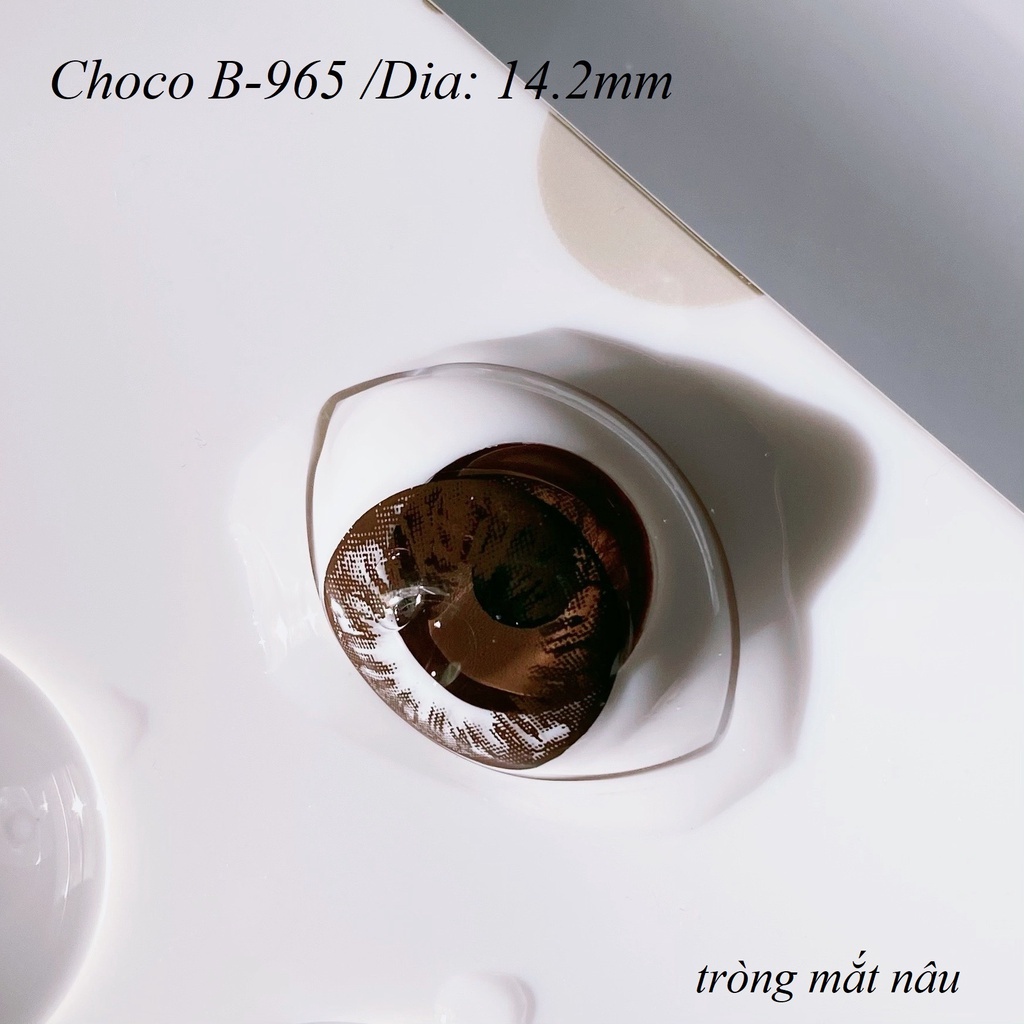 Lens Choco B-965 [EXP 9/2023] (kính áp tròng Sona Hàn Quốc)