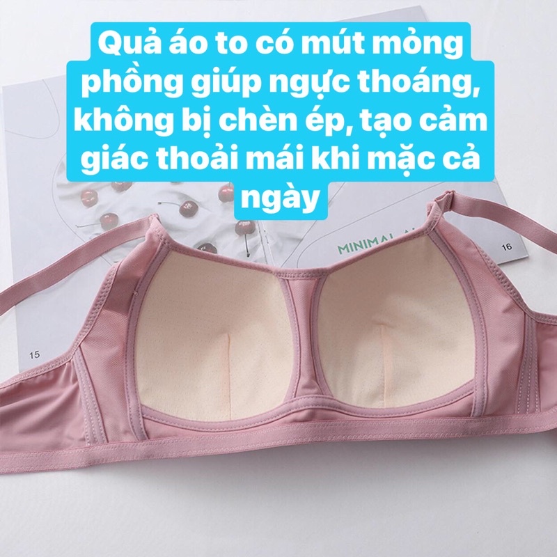 Áo Lót Không Gọng Mút Vừa, Định Hình Cơ Thể, Nâng Ngực Đẹp, Thu Gọn Mỡ Thừa 2 Bên Nách, Chống Chảy Xệ