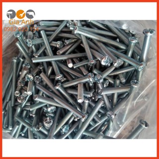 Vít bắt bảng điện ( 100g)