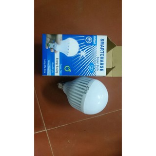 Đèn led tích điện 15W giá rẻ