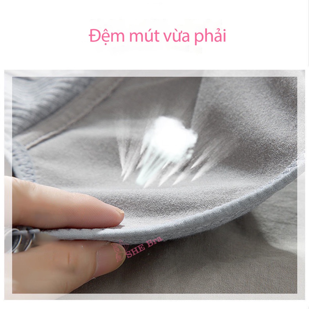 Áo Bra Sport belt Áo Lót Ngực Nữ Sinh Không Gọng Chất Cotton Co Giãn 4 Chiều Mềm Mại ALO03 | BigBuy360 - bigbuy360.vn