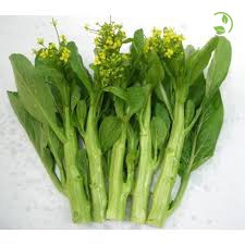 Hạt Giống Cải Ngồng  Phú Nông - Gói 20g -50g - Flowering Pak Choy PN-108
