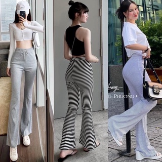 QUẦN THUN ỐNG LOE LƯNG CAO