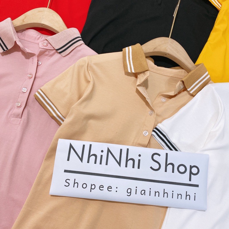 Áo thun cổ bẻ pha viền, Áo phông nữ tay cộc dáng ôm vải cotton co giãn AS1091 - NhiNhi Shop