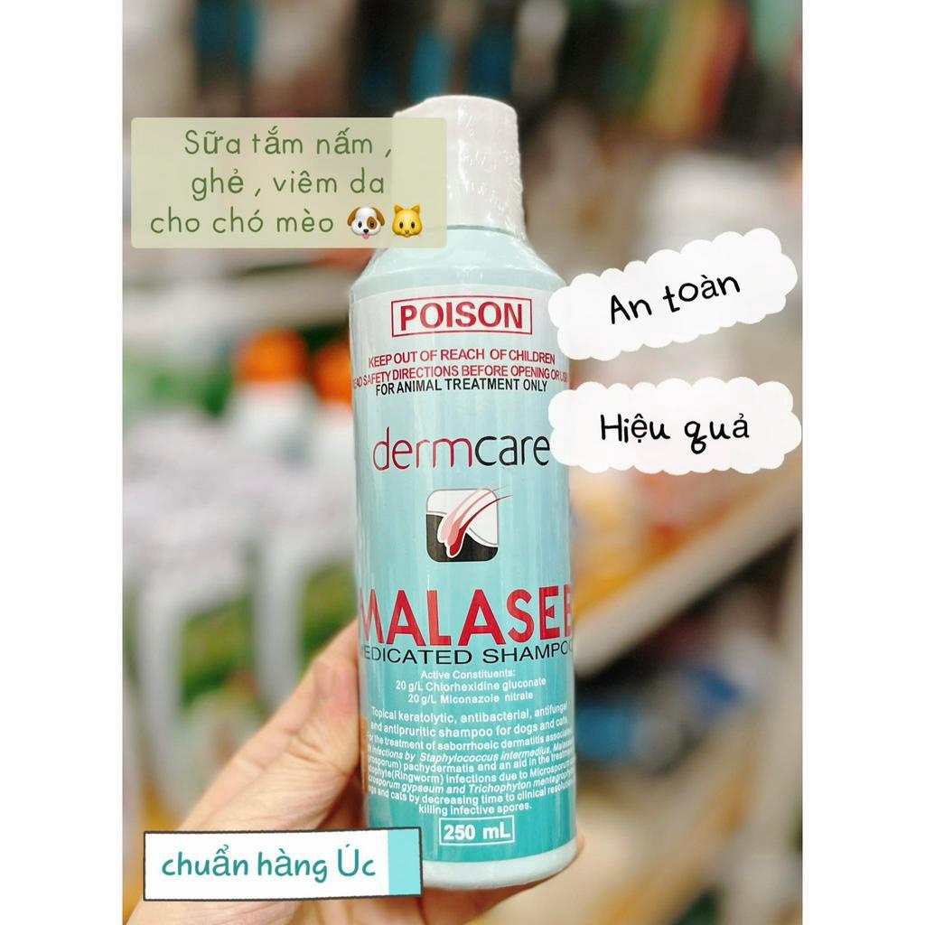 Sữa tắm nấm, ghẻ, viêm da cho chó mèo Malaseb