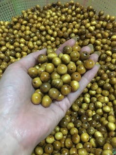Chuyên sỉ- lẻ hạt dâu tằm