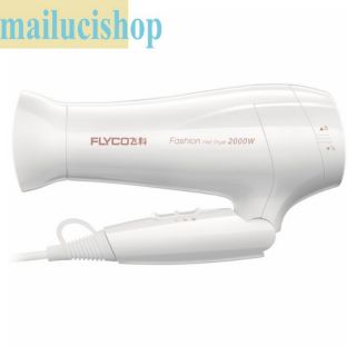 Máy sấy tóc Flyco FH6232 2000W