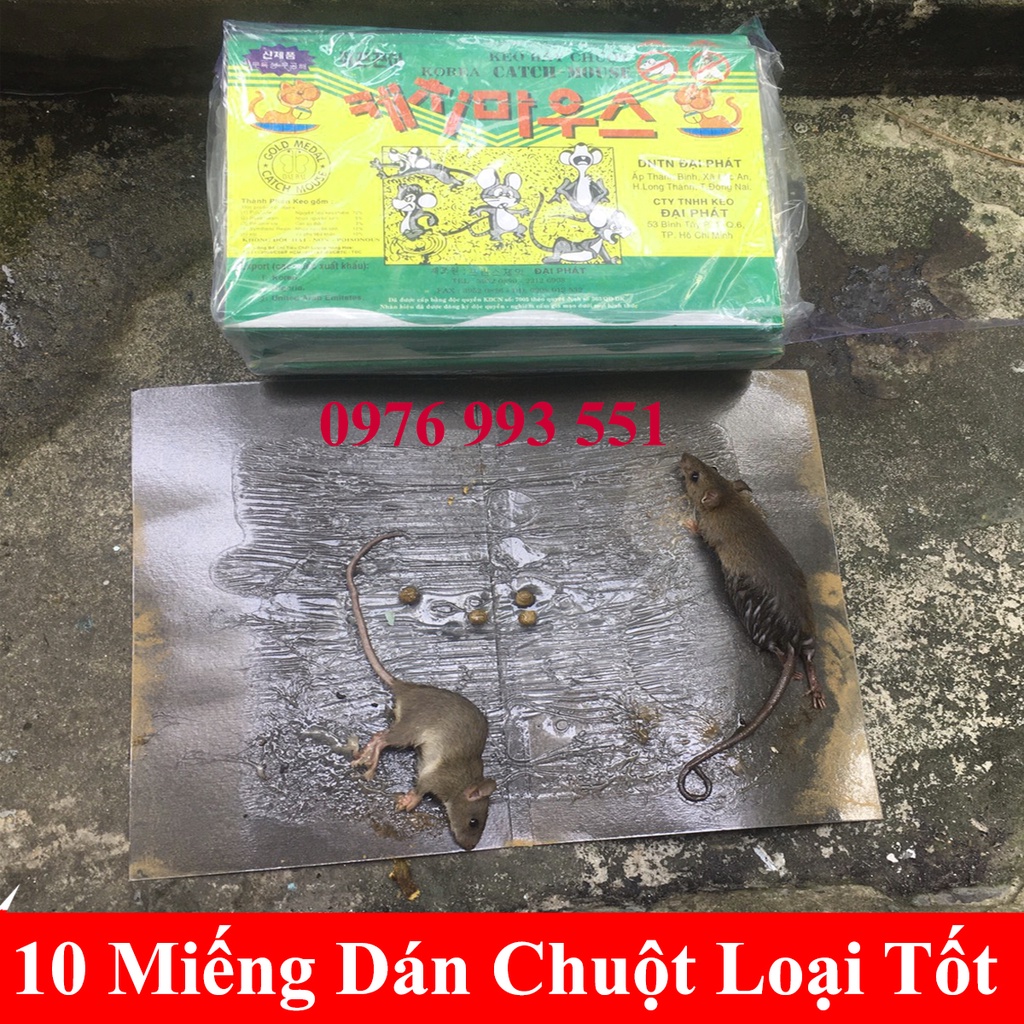 10 miếng keo dính chuột loại tốt,nhiều keo,siêu dính