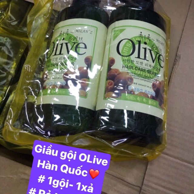 Cặp dầu gội Olive Hàn Quốc