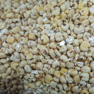 combo 5kg ngô tẻ không đường cho khách