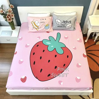 BỘ GA GỐI COTTON 100% CAO CẤP 3D CHO BÉ YÊU (FREE BO CHUN)