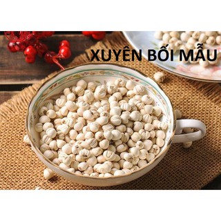 Xuyên bối mẫu Tứ Xuyên, hàng công ty, sạch đẹp 100g