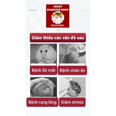 [Yee]Trà thảo mộc giảm nhiệt cơ thể cho hamster và thú cưng nhỏ