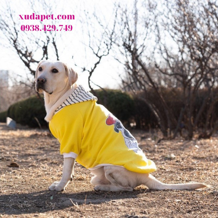 Áo Hoodie Vàng Hình Chó Pug Nón Sọc chất liệu thun co giãn cao cấp, màu vàng - SP000597