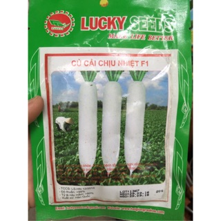 Hạt giống cải củ