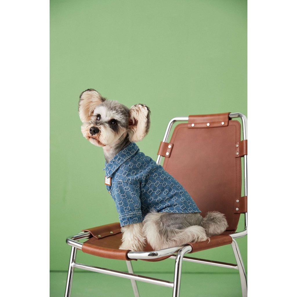 Áo Khoác Denim Thời Trang Xuân Thu Dành Cho Cún Cưng