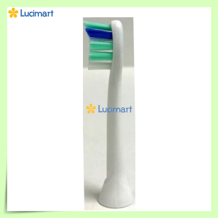 Combo 4 đầu bàn chải điện