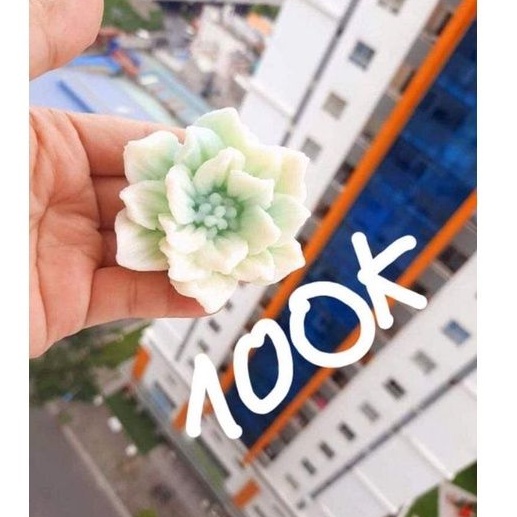 [KHUÔN 4D SALE] Khuôn hoa cẩm chướng hoa mẫu đơn hoa anh túc làm thạch rau câu/hoa nến/hoa sáp