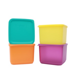 Bộ hộp bảo quản thực phẩm Medium Square Round (4 hộp). Hàng chính hãng Tupperware bảo hành trọn đời sản phẩm.