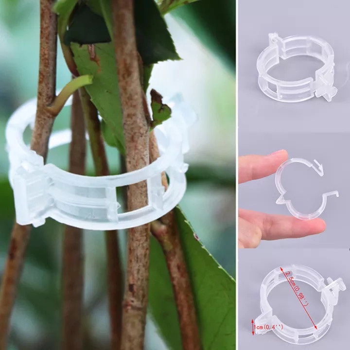 VÒNG KẸP NHỰA TRẮNG DÙNG ĐỂ NÍU, GIỮ THÂN CÂY.