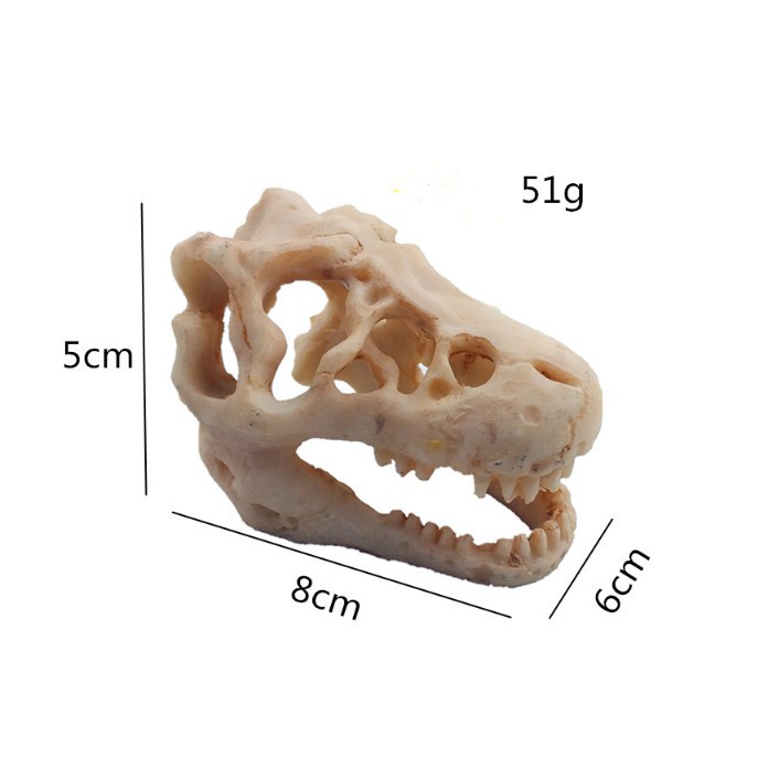 So t-rex 7cm trang trí bể cá, thuỷ sinh, bò sát, tarantula