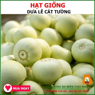 HẠT GIỐNG DƯA LÊ F1 - CÁT TƯỜNG TN 420 1gram