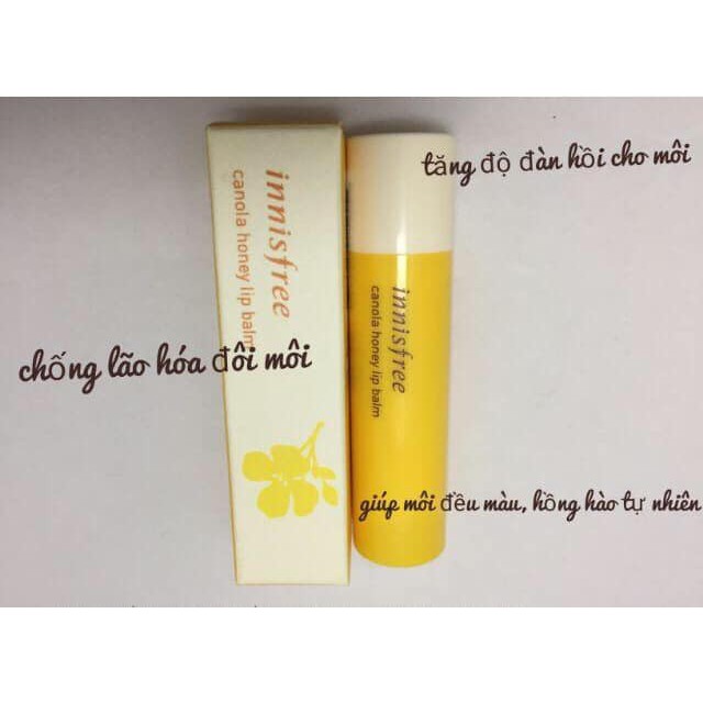 Son Dưỡng Môi Innisfree Canola Honey Lip Balm (bản mới 2019) | BigBuy360 - bigbuy360.vn