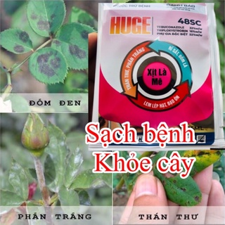 Thuốc trừ bệnh Huge 48SC gói 15ml (nativo) đặc trị vàng lá, đốm lá, rỉ sắt, phấn trắng hoa hồng, dưa bầu bí, phong lan