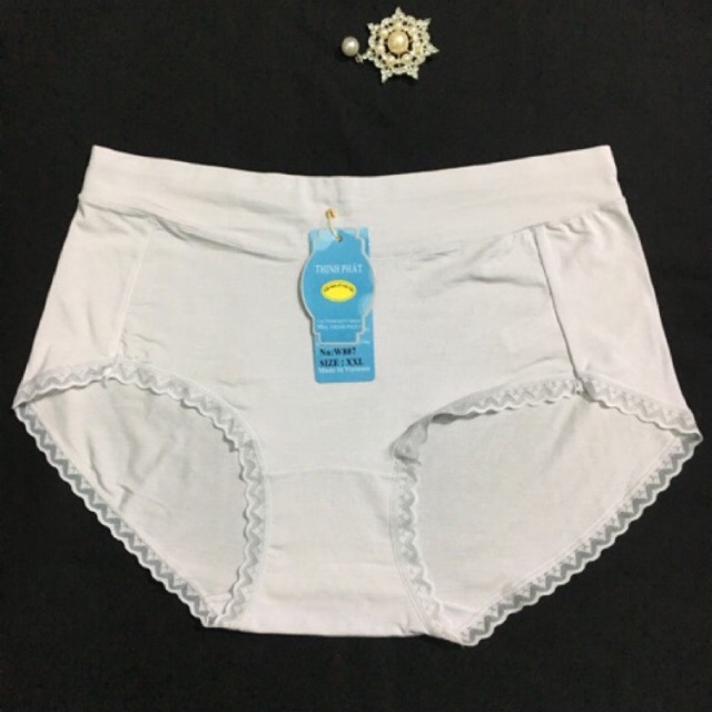 Quần lót nữ cotton chất xịn set 5c/ quần chíp nữ lưng cao ThỊnh Phát