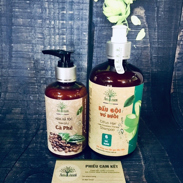 Combo Dầu gội Vỏ Bưởi Cao Cấp và Kem xả tóc cà phê Amegreen - Trị rụng tóc, phục hồi hư tổn cho bầu và sau sinh