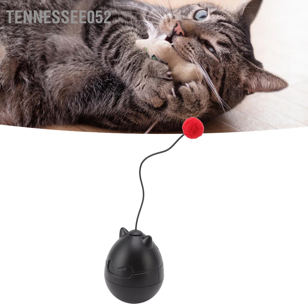 Tennessee052 Đồ chơi xích đu cho mèo Tương tác Điện tiêu thụ điện năng thấp Bảo vệ môi trường Quả bóng thú cưng vui nhộn với hai quả màu