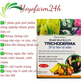 Trichoderma loại cao cấp nhất 20 tỷ bào tử nấm hộp 1kg