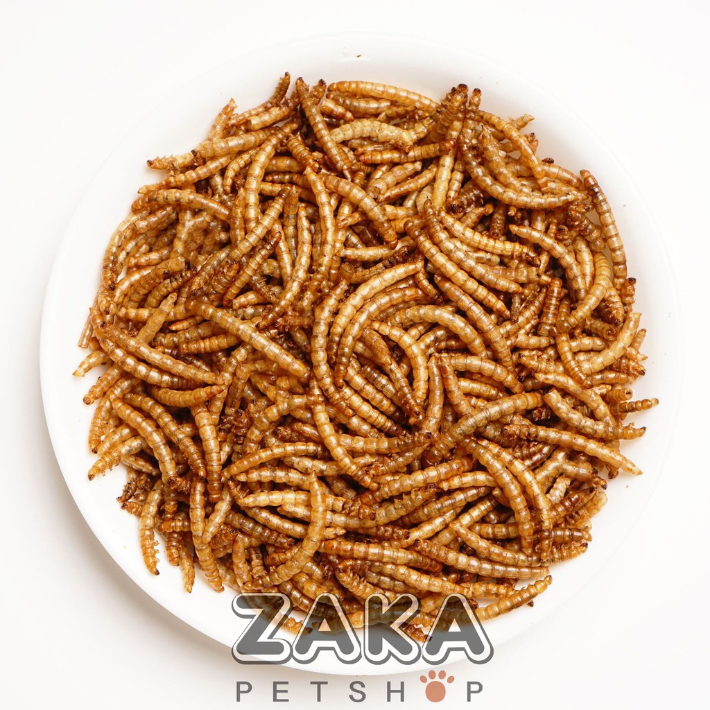Sâu gạo rang bơ - Hamster, nhím, sóc 25g